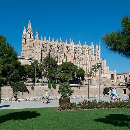 Owl Mariner - 5 Min Walk To The * Pollensa