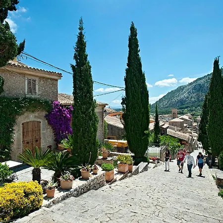 Owl Mariner - 5 Min Walk To The *