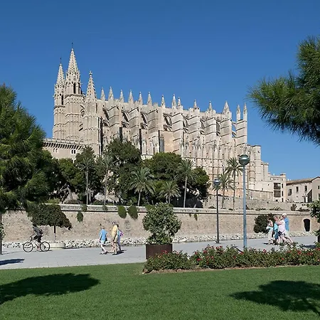 Owl Mariner - 5 Min Walk To The *