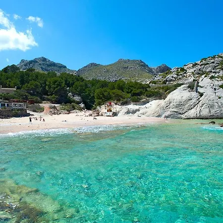 Owl Mariner - 5 Min Walk To The